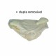 CUECA PARA HÉRNIA INGUINAL DUPLA DL261 DILEPÉ