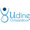 Udine